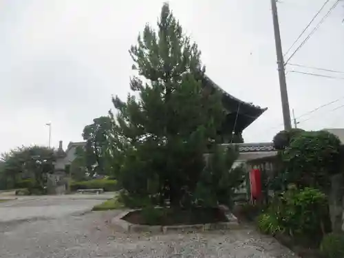 定願寺(栃木県)