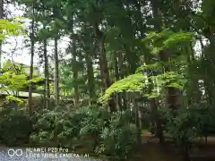 高野山金剛峯寺の自然