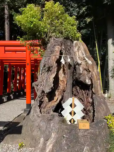 常磐神社の自然