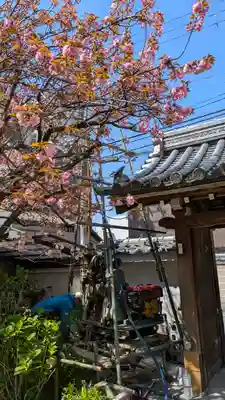 宝蔵寺(京都府)