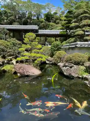 延光寺の{uncategorized: "未分類", other: "その他", undefined: "問題あり", building: "その他建物", grave: "お墓", sacred_gate: "鳥居", guardian: "狛犬", statue: "像", buddha: "仏像", history: "歴史", nature: "自然", garden: "庭園", animal: "動物", pagoda: "塔", temizu: "手水舎", mountain_gate: "山門・神門", sanctuary: "本殿・本堂", subordinate: "末社・摂社", art: "芸術", scenery: "景色", jizo: "地蔵", ema: "絵馬", goshuin: "御朱印", omikuji: "おみくじ", items: "授与品その他", amulet: "お守り", goshuincho: "御朱印帳", eats: "食事", festival: "お祭り", votive_dance: "神楽", shichigosan: "七五三参", wedding: "結婚式", experience: "体験その他", initially: "初詣", around: "周辺", anti_infection: "感染症対策"}