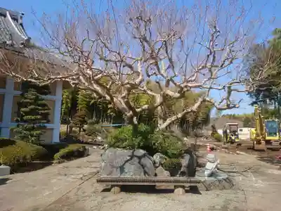 総世寺(神奈川県)