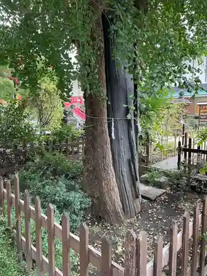 成子天神社(東京都)