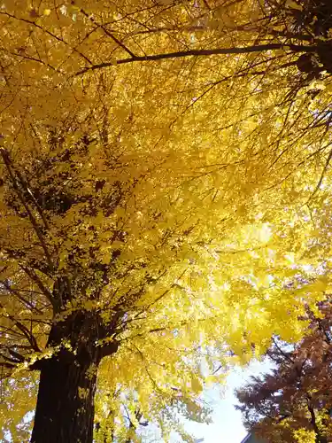 根岸八幡神社(神奈川県)