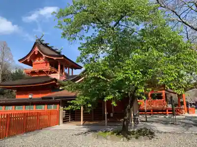 富士山本宮浅間大社のその他建物