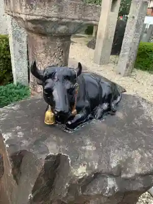大松禅寺の狛犬