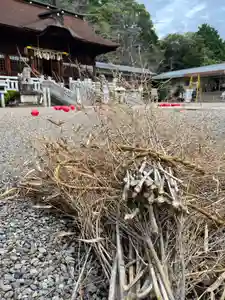 手力雄神社(岐阜県)(2023年08月24日(木) 07時42分16秒投稿)