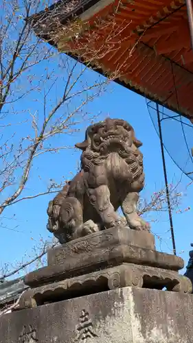 八坂神社(祇園さん)(京都府)