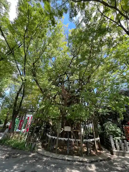 稲毛神社(神奈川県)