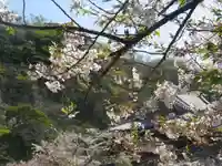 光明寺のその他建物