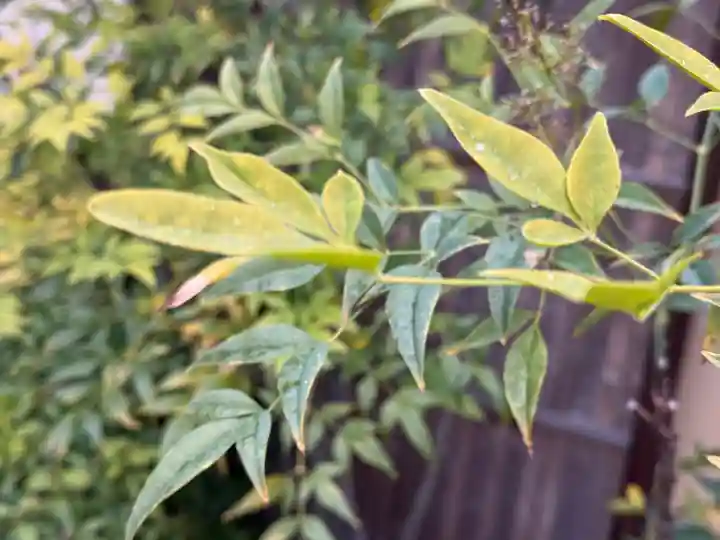 西方山極楽寺(岐阜県)