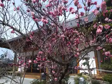 礼善寺(愛知県)