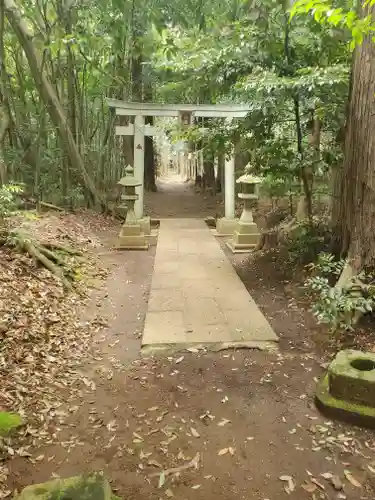 白幡神社の鳥居