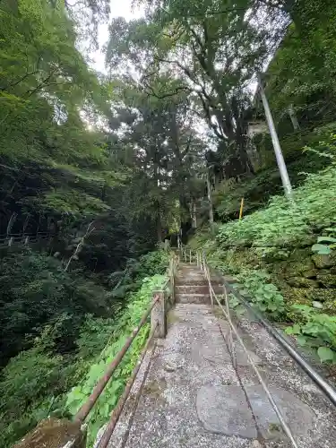 仙龍寺(愛媛県)