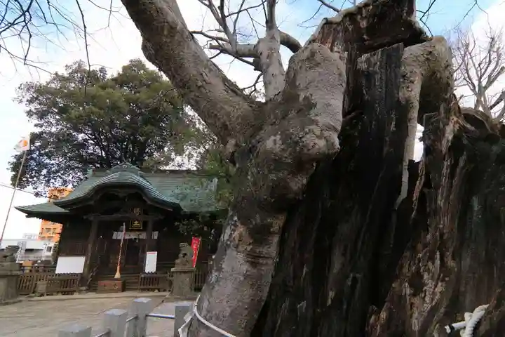 阿邪訶根神社の本殿・本堂