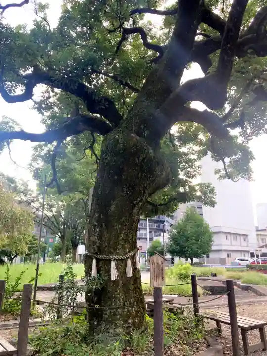 橿森神社(岐阜県)