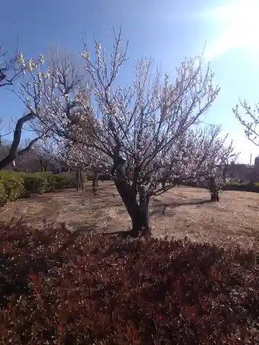 代田八幡神社(東京都)