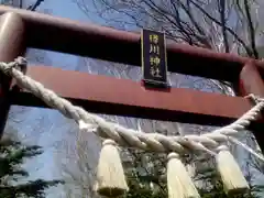 樽川神社の鳥居