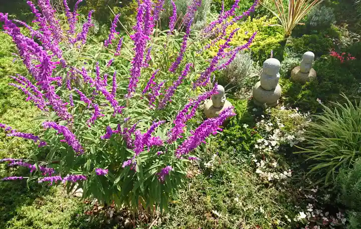 寿量山 速成寺(奈良県)