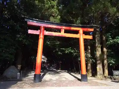 霧島神宮の鳥居