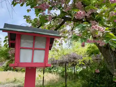 白髭神社の{uncategorized: "未分類", other: "その他", undefined: "問題あり", building: "その他建物", grave: "お墓", sacred_gate: "鳥居", guardian: "狛犬", statue: "像", buddha: "仏像", history: "歴史", nature: "自然", garden: "庭園", animal: "動物", pagoda: "塔", temizu: "手水舎", mountain_gate: "山門・神門", sanctuary: "本殿・本堂", subordinate: "末社・摂社", art: "芸術", scenery: "景色", jizo: "地蔵", ema: "絵馬", goshuin: "御朱印", omikuji: "おみくじ", items: "授与品その他", amulet: "お守り", goshuincho: "御朱印帳", eats: "食事", festival: "お祭り", votive_dance: "神楽", shichigosan: "七五三参", wedding: "結婚式", experience: "体験その他", initially: "初詣", around: "周辺", anti_infection: "感染症対策"}