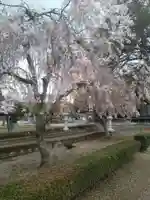 金泉寺(宮城県)