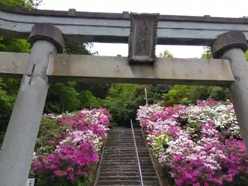八幡神社(福井県)