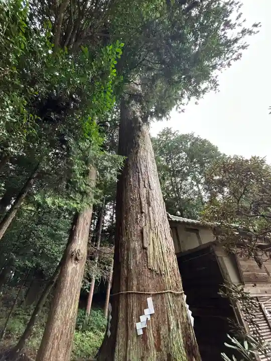 都祁水分神社(奈良県)