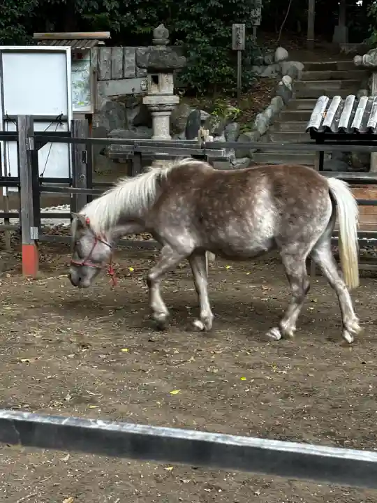 平塚八幡宮(神奈川県)