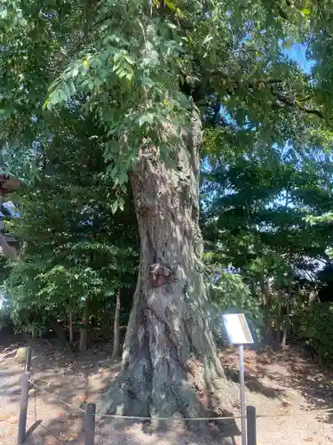 三島八幡神社(福島県)