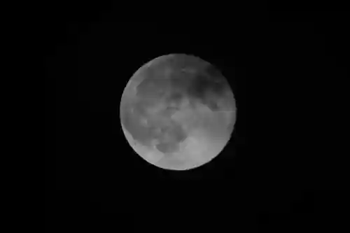 鹿島大神宮の自然