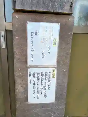 世界第一八百萬神之御殿　寄島分殿のその他建物