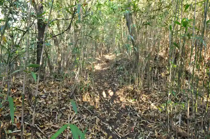 天一稲荷神社(愛媛県)