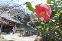 来迎寺(西御門)(神奈川県)