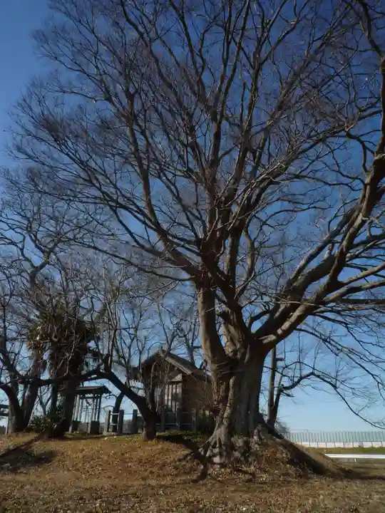 神明神社(千葉県)