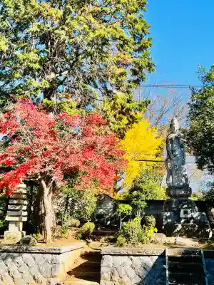 妙法寺(金色不動尊)の{uncategorized: "未分類", other: "その他", undefined: "問題あり", building: "その他建物", grave: "お墓", sacred_gate: "鳥居", guardian: "狛犬", statue: "像", buddha: "仏像", history: "歴史", nature: "自然", garden: "庭園", animal: "動物", pagoda: "塔", temizu: "手水舎", mountain_gate: "山門・神門", sanctuary: "本殿・本堂", subordinate: "末社・摂社", art: "芸術", scenery: "景色", jizo: "地蔵", ema: "絵馬", goshuin: "御朱印", omikuji: "おみくじ", items: "授与品その他", amulet: "お守り", goshuincho: "御朱印帳", eats: "食事", festival: "お祭り", votive_dance: "神楽", shichigosan: "七五三参", wedding: "結婚式", experience: "体験その他", initially: "初詣", around: "周辺", anti_infection: "感染症対策"}
