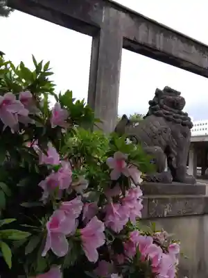福井神社(福井県)