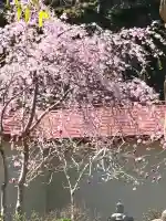 余市神社の{uncategorized: "未分類", other: "その他", undefined: "問題あり", building: "その他建物", grave: "お墓", sacred_gate: "鳥居", guardian: "狛犬", statue: "像", buddha: "仏像", history: "歴史", nature: "自然", garden: "庭園", animal: "動物", pagoda: "塔", temizu: "手水舎", mountain_gate: "山門・神門", sanctuary: "本殿・本堂", subordinate: "末社・摂社", art: "芸術", scenery: "景色", jizo: "地蔵", ema: "絵馬", goshuin: "御朱印", omikuji: "おみくじ", items: "授与品その他", amulet: "お守り", goshuincho: "御朱印帳", eats: "食事", festival: "お祭り", votive_dance: "神楽", shichigosan: "七五三参", wedding: "結婚式", experience: "体験その他", initially: "初詣", around: "周辺", anti_infection: "感染症対策"}