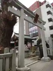 柏神社の鳥居