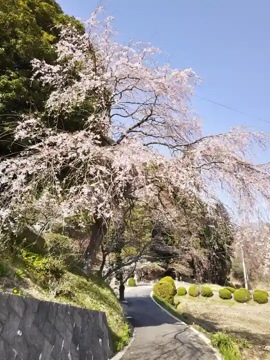鹿島大神宮(福島県)