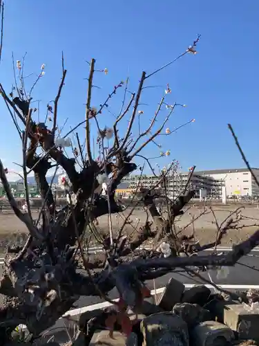 隆盛寺(神奈川県)