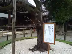 靖國神社(東京都)