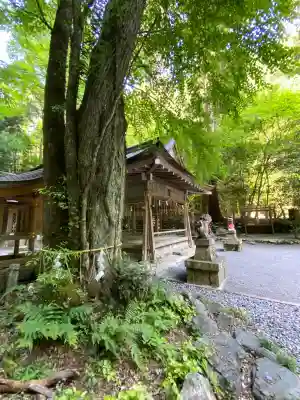 貴船神社奥宮(京都府)