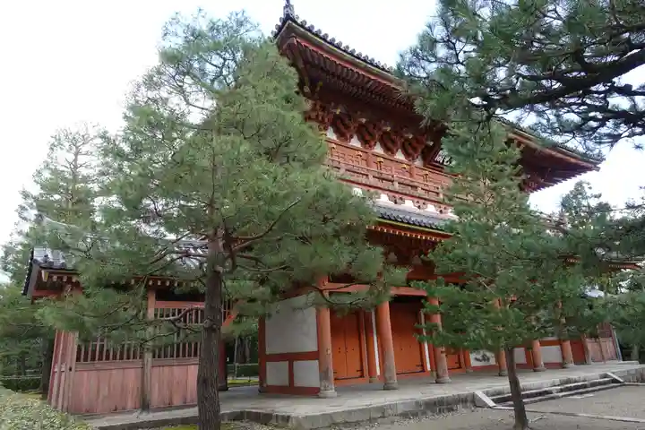 大徳寺の山門・神門