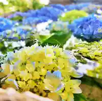 立志神社の手水舎