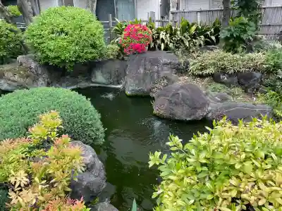 東光寺別院桜ヶ池不動院の{uncategorized: "未分類", other: "その他", undefined: "問題あり", building: "その他建物", grave: "お墓", sacred_gate: "鳥居", guardian: "狛犬", statue: "像", buddha: "仏像", history: "歴史", nature: "自然", garden: "庭園", animal: "動物", pagoda: "塔", temizu: "手水舎", mountain_gate: "山門・神門", sanctuary: "本殿・本堂", subordinate: "末社・摂社", art: "芸術", scenery: "景色", jizo: "地蔵", ema: "絵馬", goshuin: "御朱印", omikuji: "おみくじ", items: "授与品その他", amulet: "お守り", goshuincho: "御朱印帳", eats: "食事", festival: "お祭り", votive_dance: "神楽", shichigosan: "七五三参", wedding: "結婚式", experience: "体験その他", initially: "初詣", around: "周辺", anti_infection: "感染症対策"}