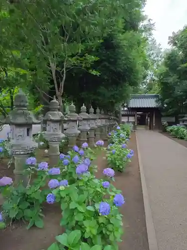 妙法寺(東京都)