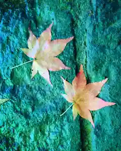 滑川神社 - 仕事と子どもの守り神の自然(2020年09月03日(木) 11時30分29秒投稿)