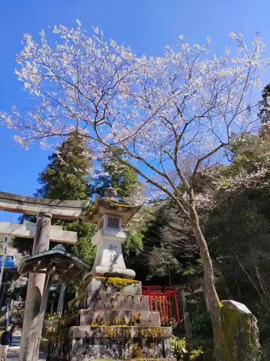 伊奈波神社の自然