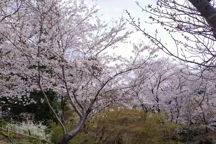 富士浅間神社(愛知県)